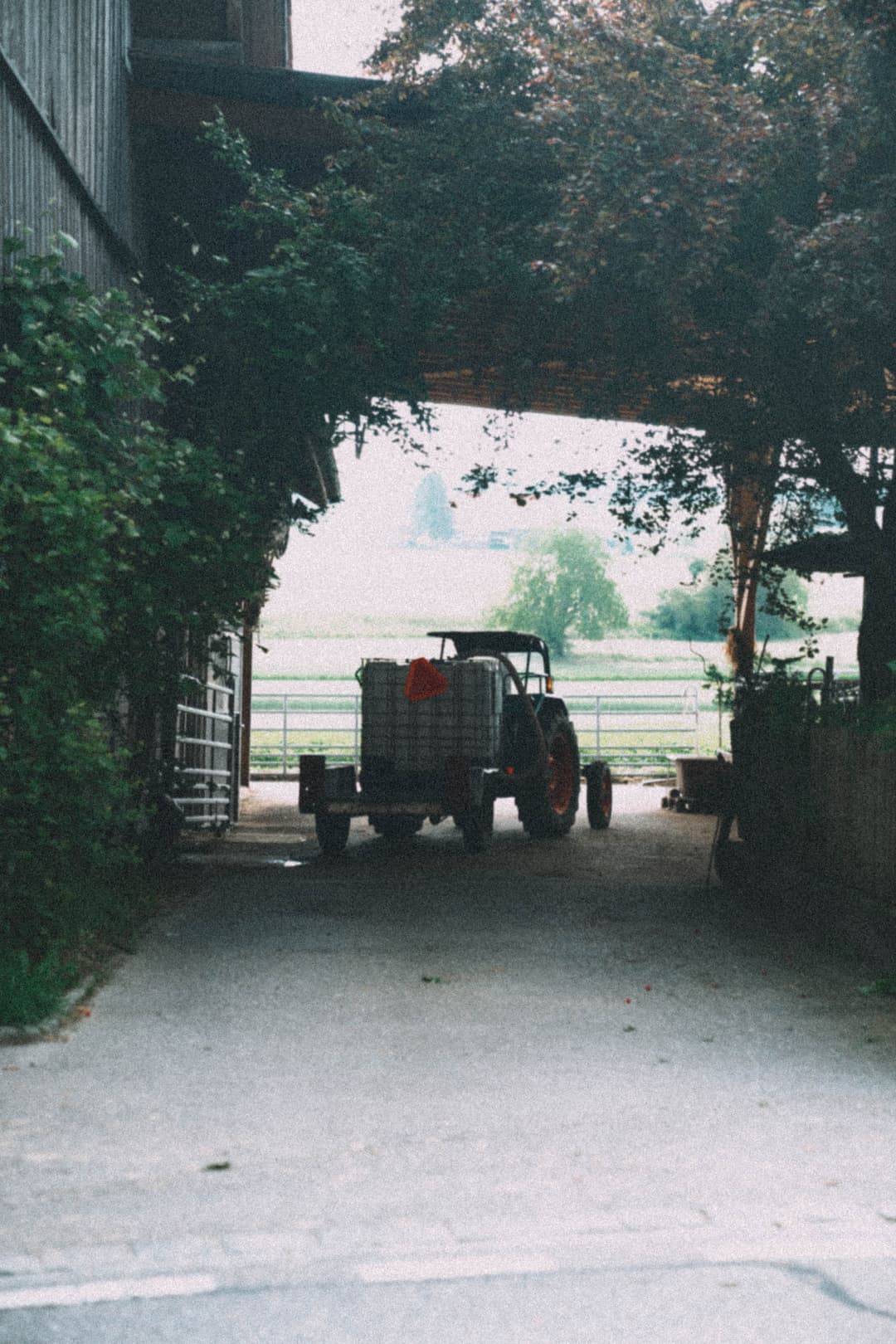 Image 14