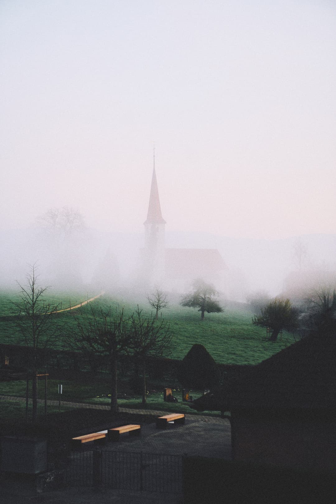 Image 19