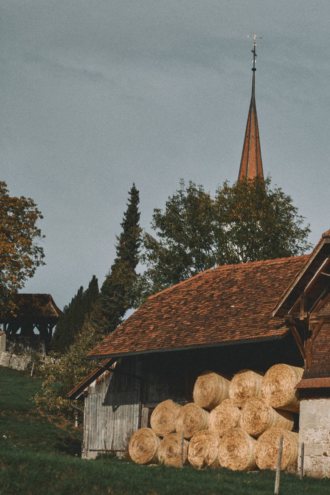 Image 23