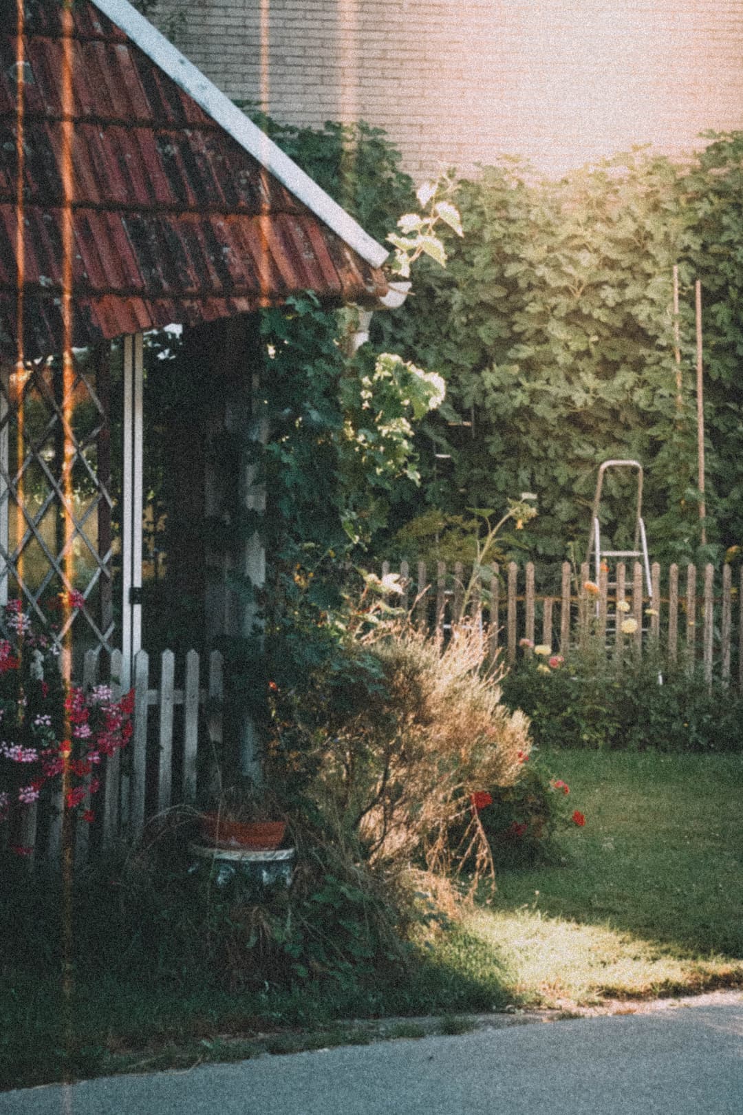 Image 31