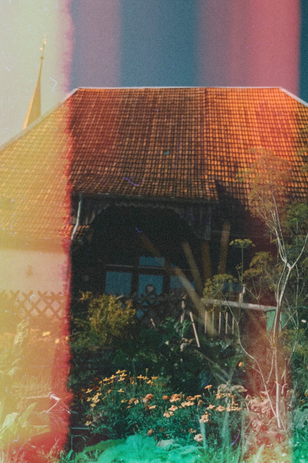 Image 33